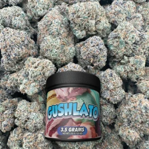 Gushlato - Hybrid - BOX