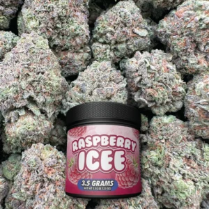 Raspberry Icee - Hybrid - BOX