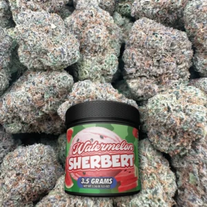 Watermelon Sherbert - Hybrid - BOX