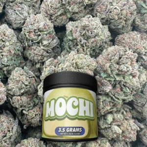 Mochi - Hybrid - BOX