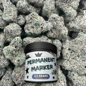 Permanent Marker - Indica - BOX